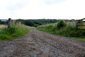 Rough Farm Track in a Rural Location on a Summer Morning