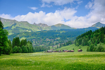 Charming alpine village in summer, surrounded by lush meadows, towering Swiss Alps, and traditional wooden chalets, Les Diablerets, Switzerland