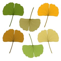 Hand drawn set of Six Colorful Ginkgo Biloba Leaves for Design and Decor