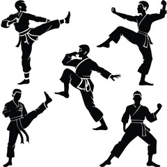 Martial Arts & Combat Sport Silhouettes