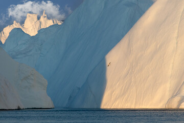 Summer on Greenland's west coast reveals icy fjords, glowing midnight sun, whales gliding through...