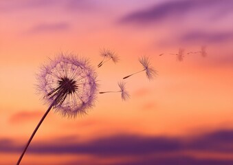 A dandelion seed head floating in a vibrant sunset sky