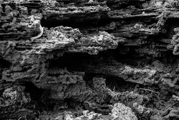 Rock