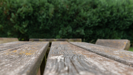 Weathered wooden outdoor table with lichen and blurred green hedge  
