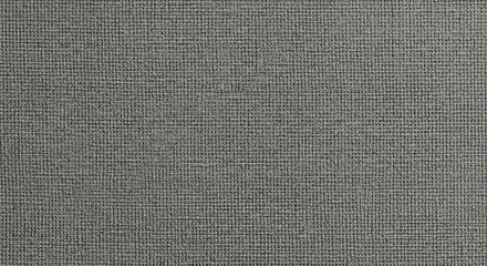 Fototapeta premium Detailed gray woven texture for backgrounds and design with subtle pattern