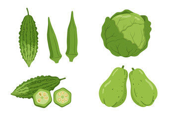 Naklejka premium Assorted green vegetables are illustrated including gourd okra cabbage and chayote squash
