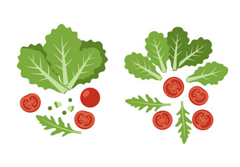 Two vegetable sets lettuce tomatoes arugula greens on a white background