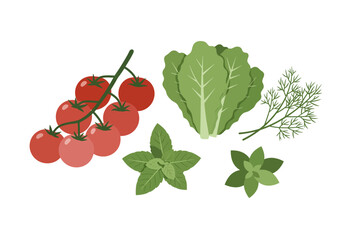 Vegetables tomatoes lettuce dill basil mint