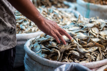 A man holds a dry fish on the sack in the market