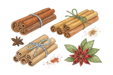 set of watercolor cinnamon stick vector illustration isolated on white background