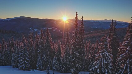 Golden hour bright sunlight shining through snowy pine trees in a winter mountain forest landscape, creating long shadows on the fresh snow covering the ground. Winter wild nature travel background