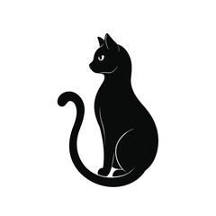 black cat on white background