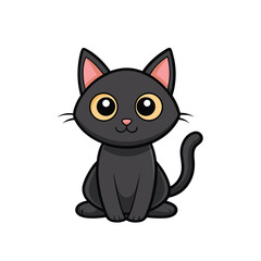 black and white cat with pink eyes