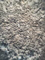 Blurred view of the rough surface of the rocks on the river bank