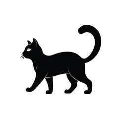 black cat isolated on white