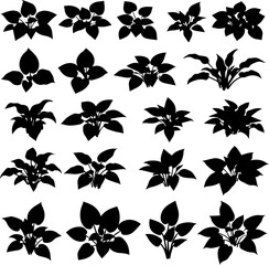 Collection of twenty-four hosta plant silhouettes, varying in size and shape.