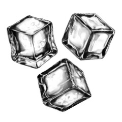 Engraved halftone ice cube set. Detailed vintage black and white illustration for cocktail menu, bar branding, packaging, mixology content and retro design.