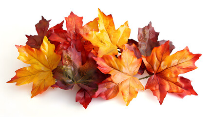 Fototapeta premium Autumn Maple Leaves Arrangement