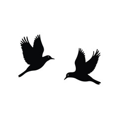 Fototapeta premium silhouette of two birds