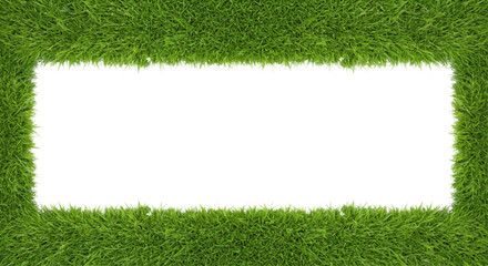 green grass frame