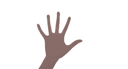 counting hands isolated on white