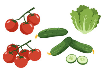 Illustration showing tomatoes on vines cucumbers and slices and a lettuce