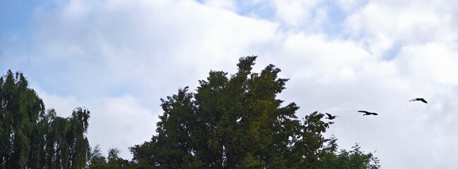 sky and clouds