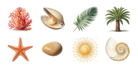 Tropical beach element collection featuring coral pearl shell palm leaf starfish sun fossil and stone illustrations on white background