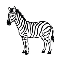 Zebra animal illustration with black and white stripes, isolated on a white background, standing in profile