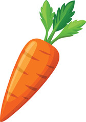 Fresh organic carrot with green top isolated on white background vector illustration