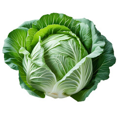 Fototapeta premium Fresh green cabbage isolated on white background healthy vegetable head