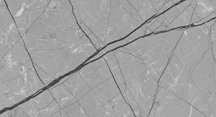 A detailed close-up of a grey marble slab, showing a natural pattern of dark, bold veins and finer, lighter cracks.