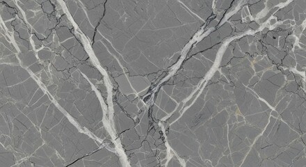 Elegant grey marble texture featuring a network of prominent, contrasting white veins.