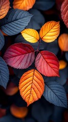 Fototapeta premium Autumnal Foliage Symphony: A Vibrant Display of Colorful Leaves in Harmony