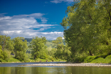 Spływ kajakami po rzece Poprad w Andrzejówce wiosną. © rogozinski