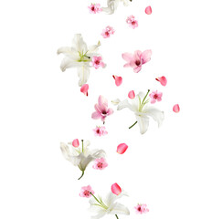 Beautiful flowers and petals falling against white background