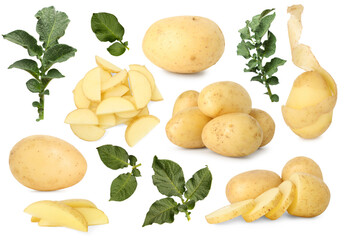 Potatoes and green plant leaves isolated on white, set