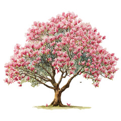 Obraz premium Magnolia Tree in watercolor style, vector illustration, isolated on white background.