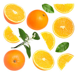 Fresh oranges, green leaves and blossoms isolated on white, set