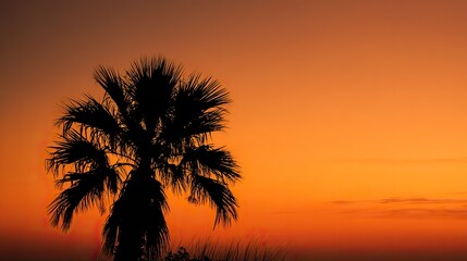 Obraz premium A silhouette of a palm tree against an orange sunset sky, creating an atmospheric and romantic scene with warm hues and natural beauty.