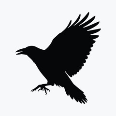 Obraz premium Flying Crow Silhouette Vector