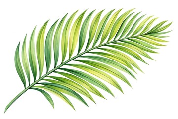 Obraz premium A vibrant green palm leaf isolated on white
