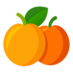 Vector Illustration of Orange Fruit