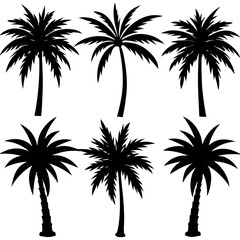 Fototapeta premium Collection of silhouetted palm trees