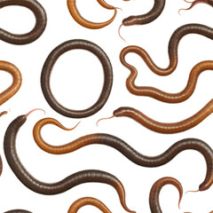 Fototapeta premium Earthworm on White Background
