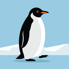 Fototapeta premium A cute flat design illustration of a black and white penguin walking in profile.