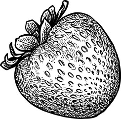 Strawberry ink sketch