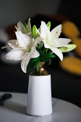 Beautiful blooming lilies