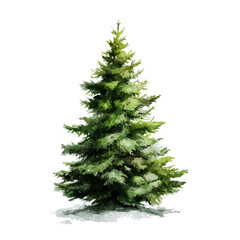A watercolor painting of Christmas Tree, vector illustration on white background.