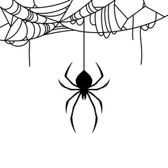 Spider silhouette icon hanging from thread. Vector illustration. Happy Halloween concept poster. Black widow in creepy web. Cobweb and bug banner frame isolated on white background. Arachnid phobia